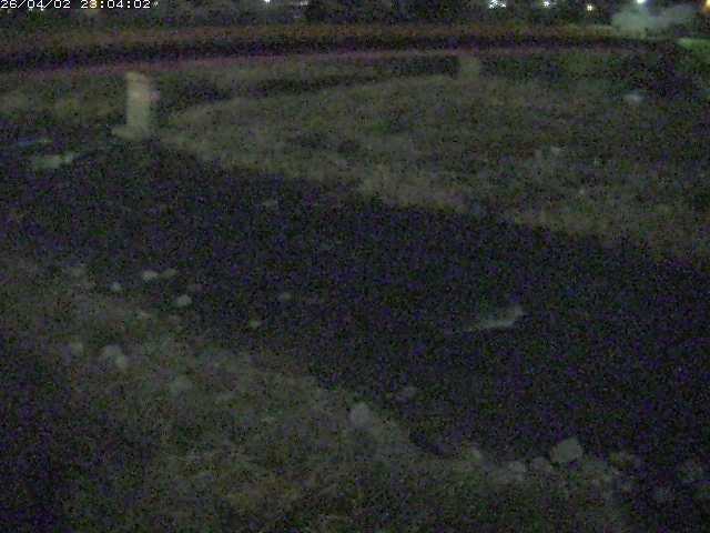 取得できませんでした