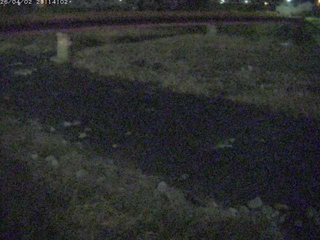 取得できませんでした