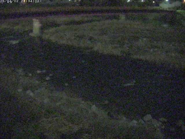 取得できませんでした