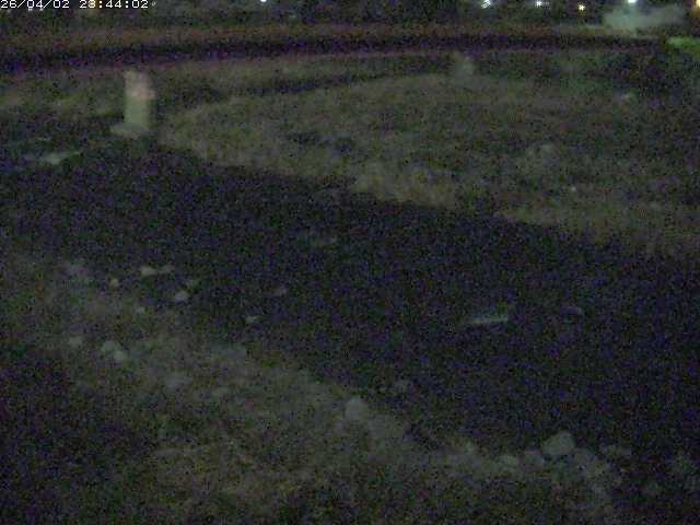 取得できませんでした