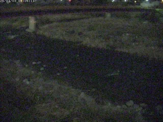 取得できませんでした