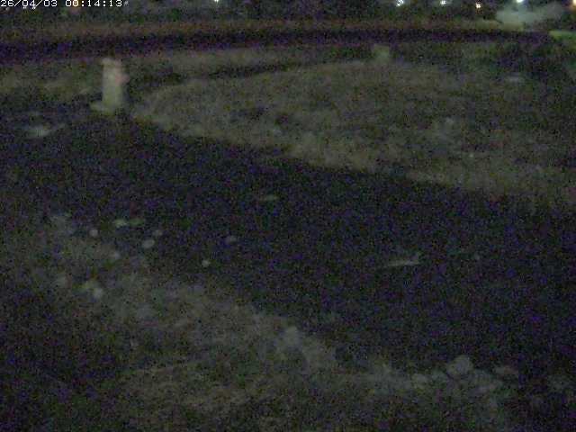 取得できませんでした