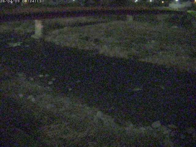 取得できませんでした