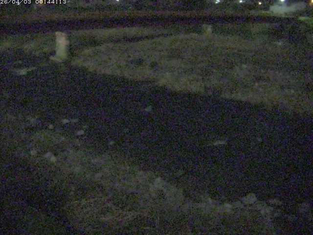 取得できませんでした