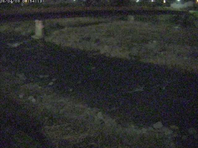 取得できませんでした