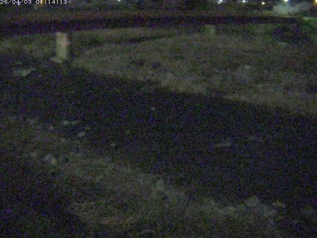 取得できませんでした