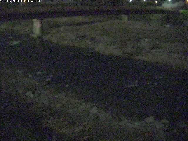 取得できませんでした