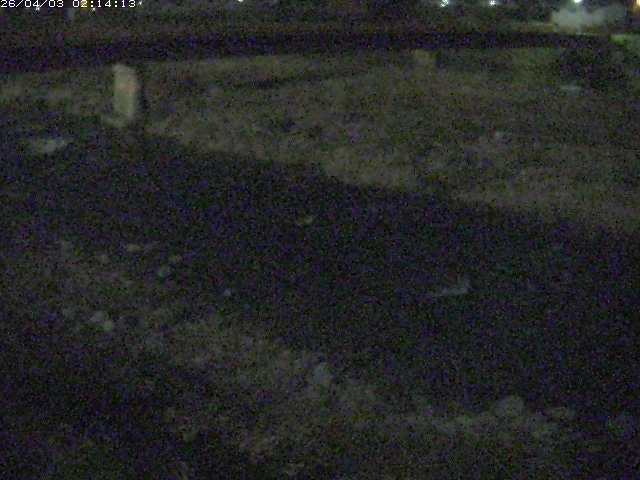 取得できませんでした