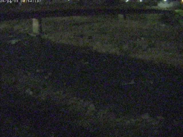 取得できませんでした