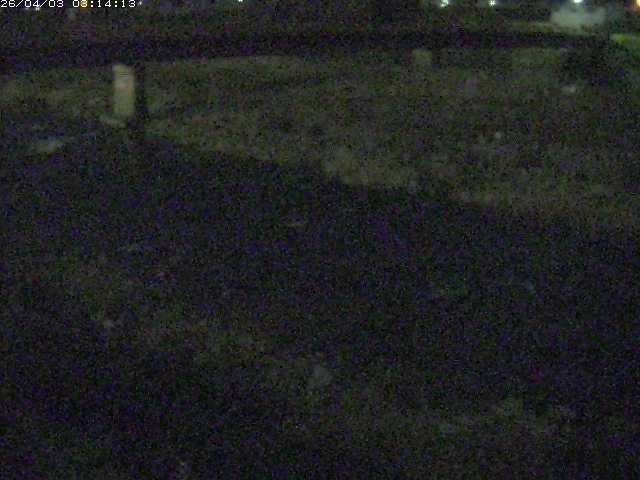 取得できませんでした