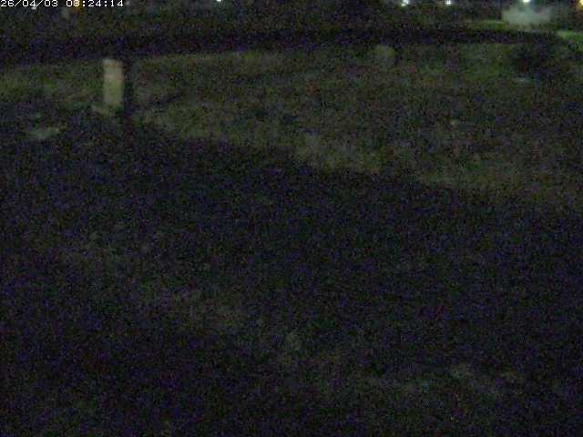 取得できませんでした