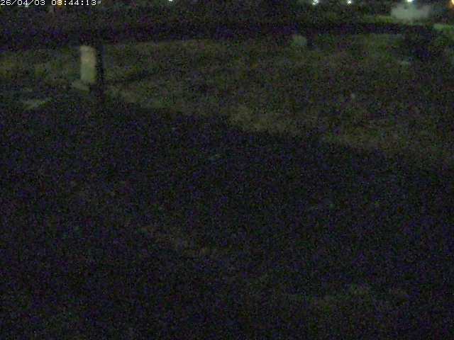 取得できませんでした