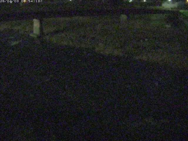 取得できませんでした