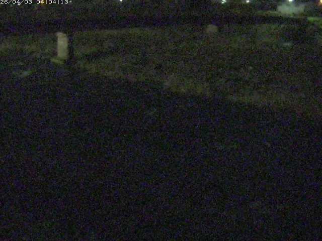 取得できませんでした