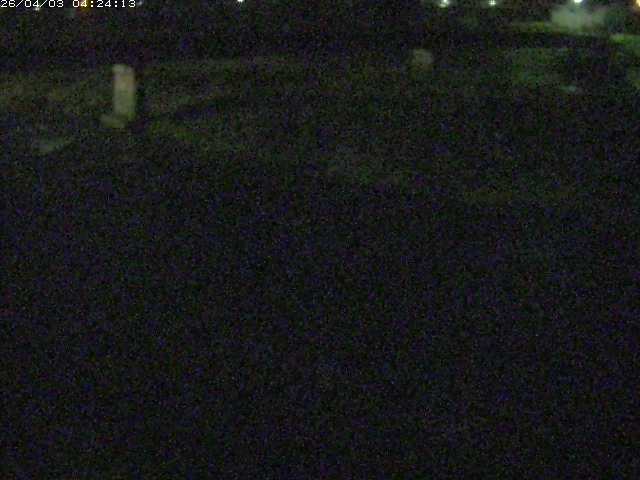 取得できませんでした