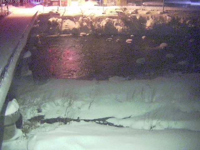 取得できませんでした