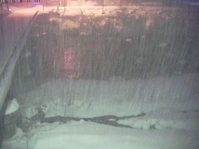 取得できませんでした