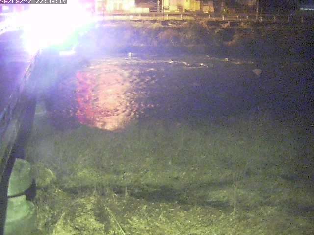 取得できませんでした