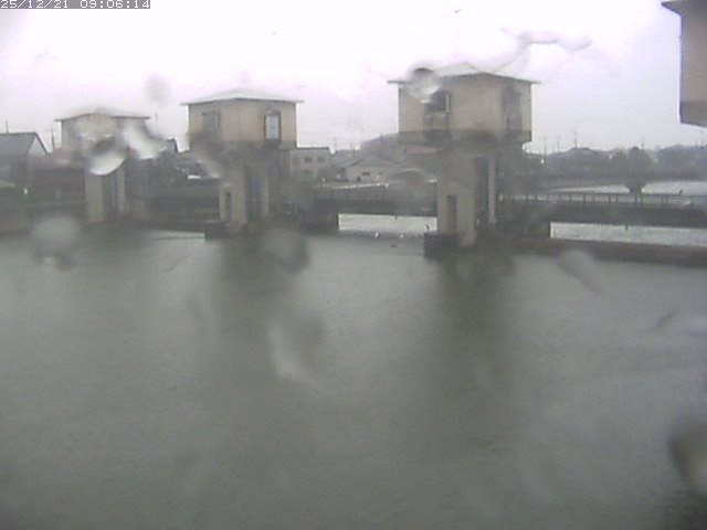 取得できませんでした