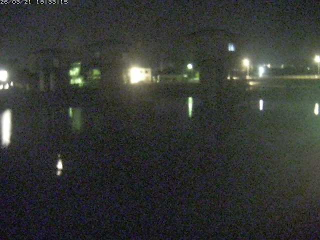 取得できませんでした