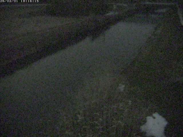 取得できませんでした