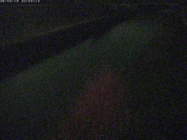 取得できませんでした