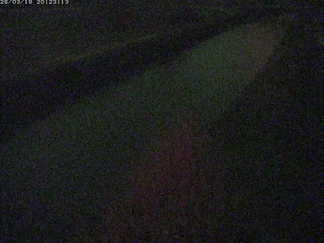 取得できませんでした