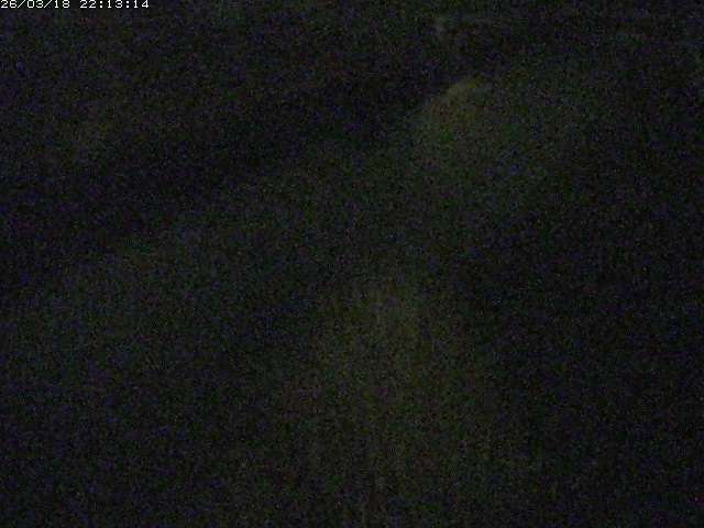 取得できませんでした