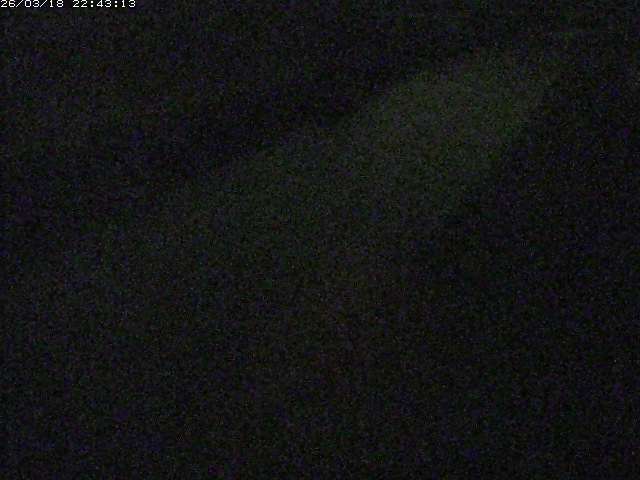 取得できませんでした