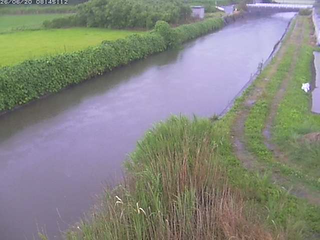 取得できませんでした