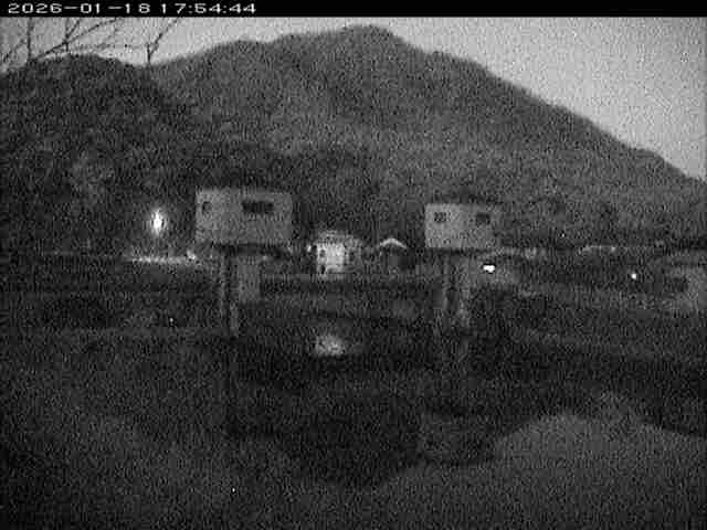 取得できませんでした