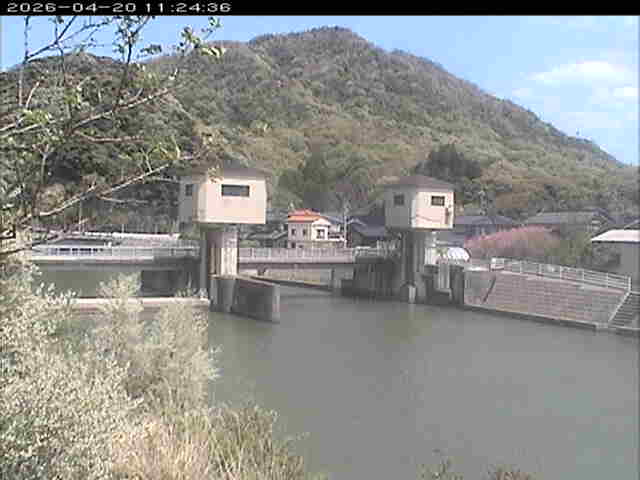 取得できませんでした