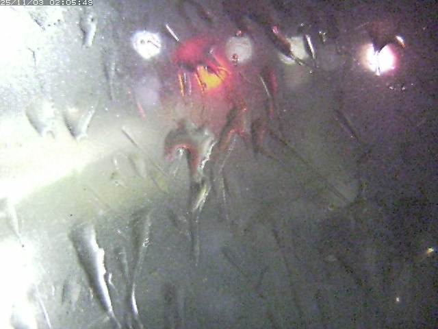 取得できませんでした