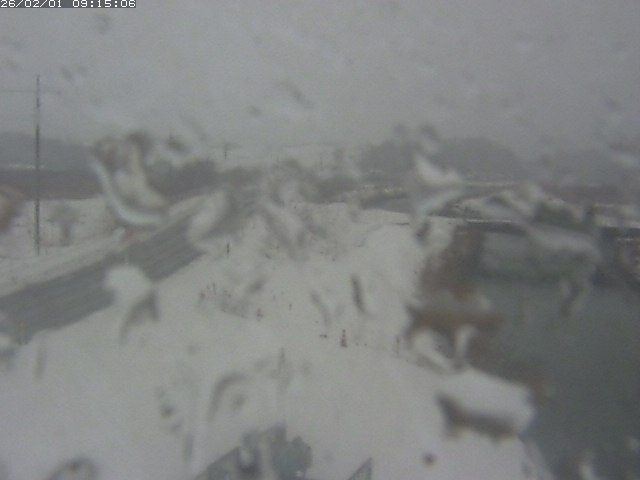 取得できませんでした