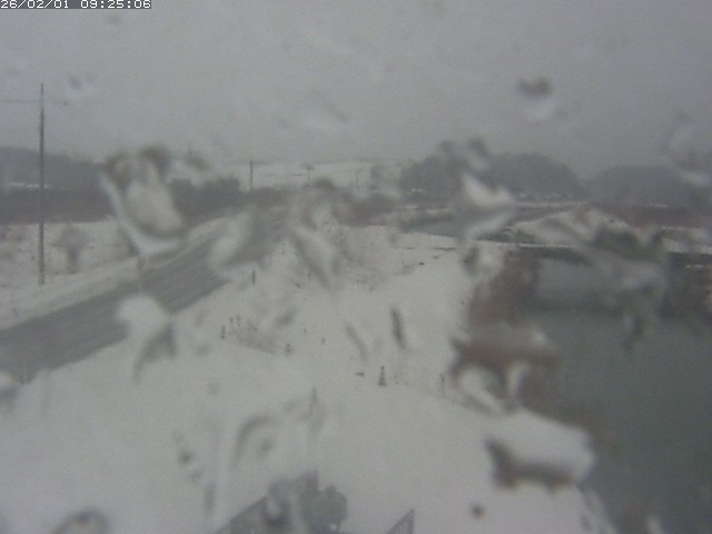 取得できませんでした