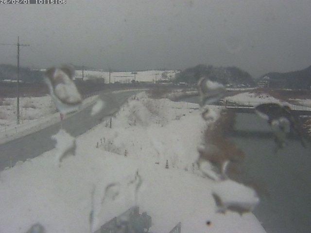 取得できませんでした