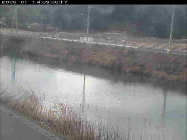 取得できませんでした