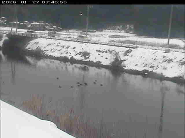 取得できませんでした