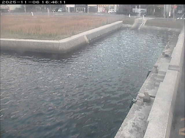 取得できませんでした