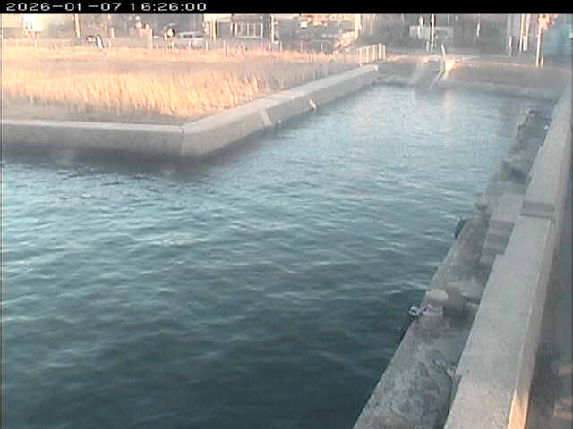 取得できませんでした