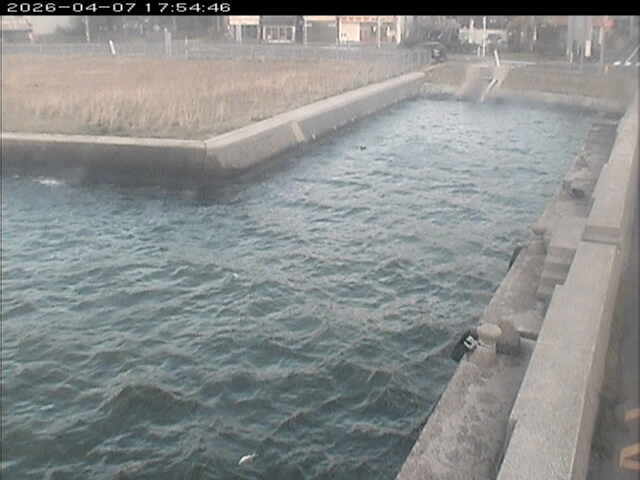 取得できませんでした