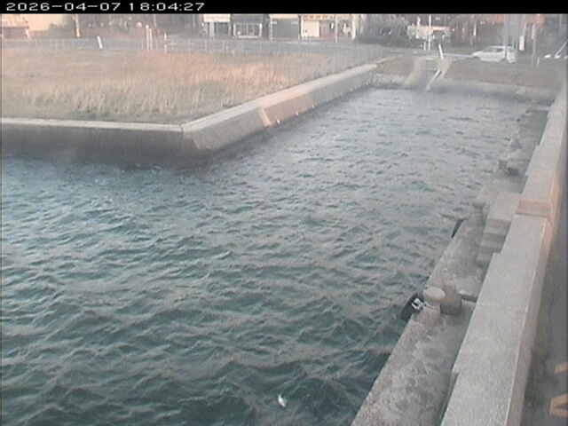 取得できませんでした