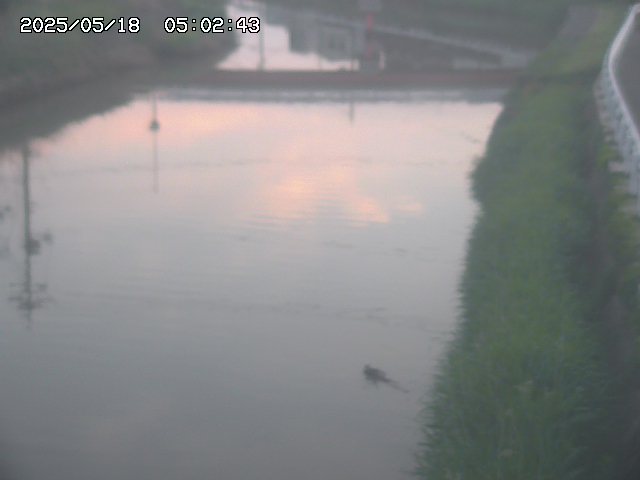 取得できませんでした