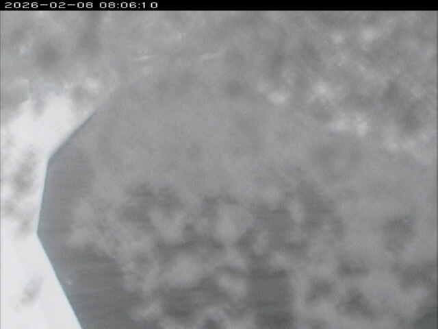 取得できませんでした