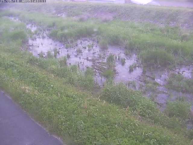 取得できませんでした