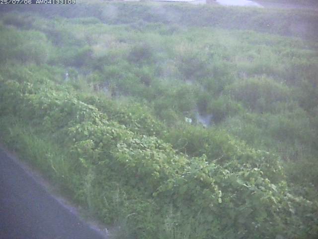 取得できませんでした