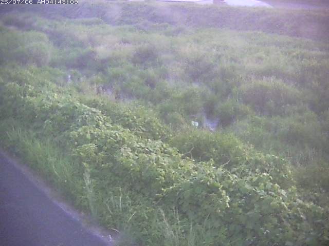 取得できませんでした