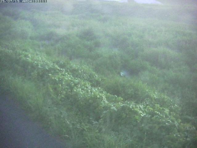 取得できませんでした