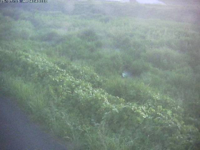 取得できませんでした