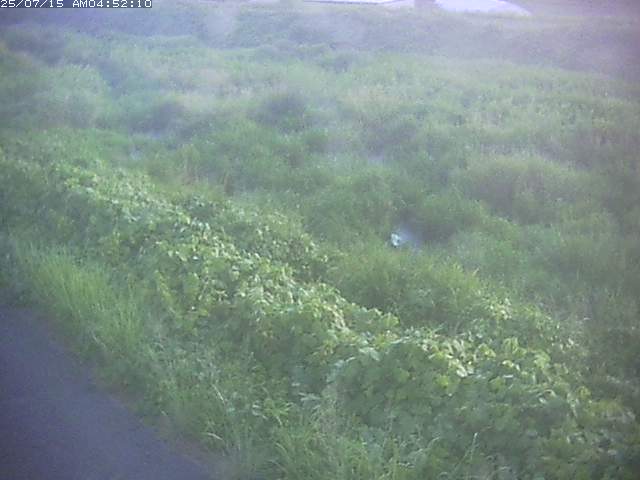 取得できませんでした